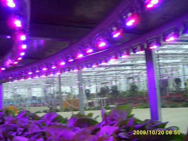 LED植物生長(zhǎng)燈頭